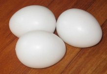 plastic eggs