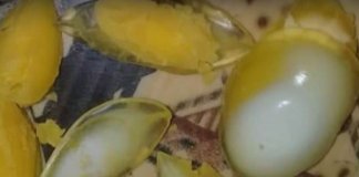 plastic eggs karachi
