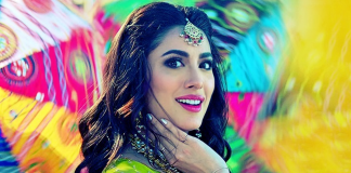 Mehwish Hayat