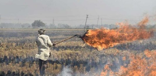 Smog in KP