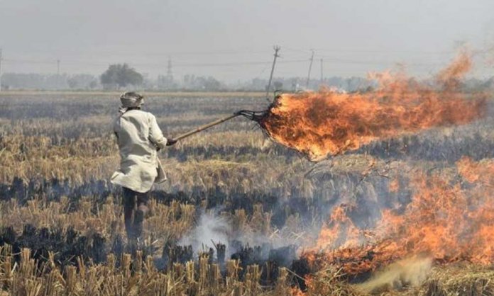 Smog in KP