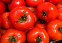 Tomato prices