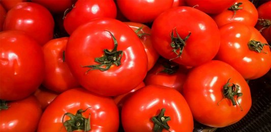 Tomato prices