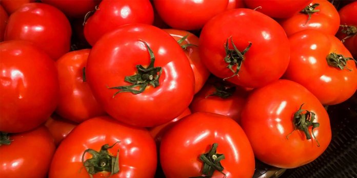 Tomato prices