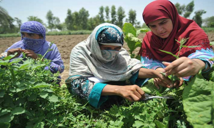 Sindh Assembly Bill for Women in Agriculture