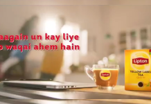 lipton