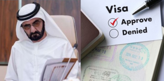 uae multi entry visa