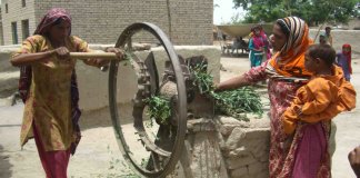 Ehsaas Kafaalat