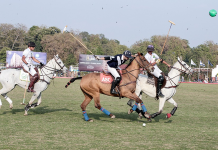Polo