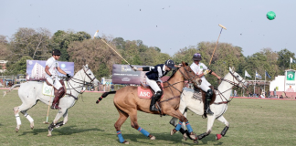 Polo