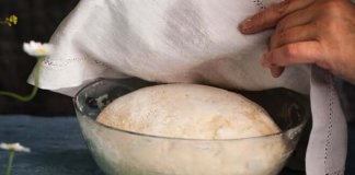 dough proofing - bs