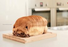 ads that tell a great visual story