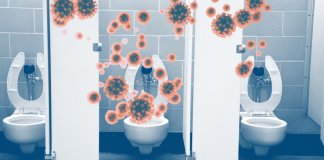 Flushing toilet