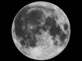 Moon