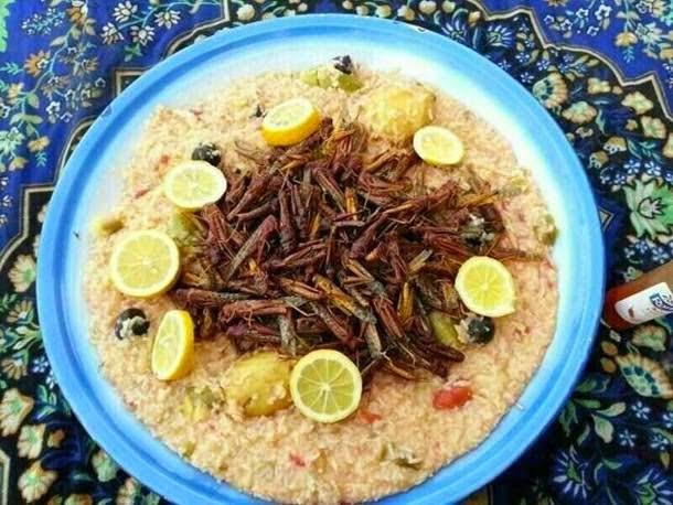 locust biryani