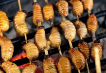 weird food