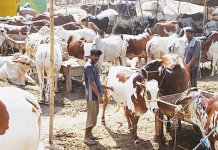 Eid ul Adha
