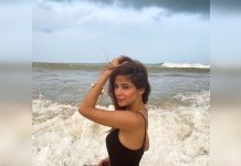Ayesha Omer troll