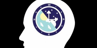 Biological Clock