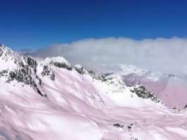 Pink Snow in the Italian Alps