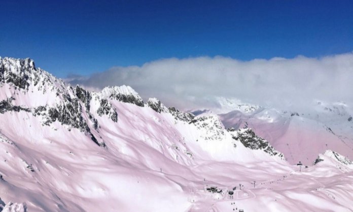 Pink Snow in the Italian Alps