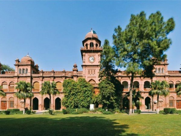 punjab university