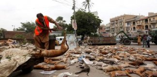 Animal cruelty in Pakistan