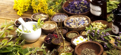 herbs and flowers