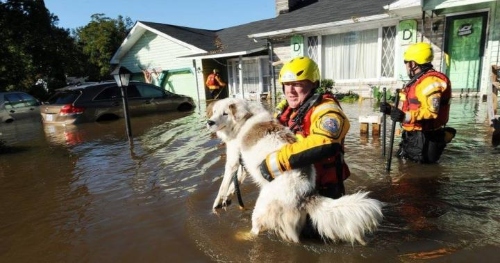 Flood safety precautions