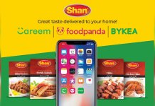 Shan foods