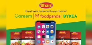 Shan foods