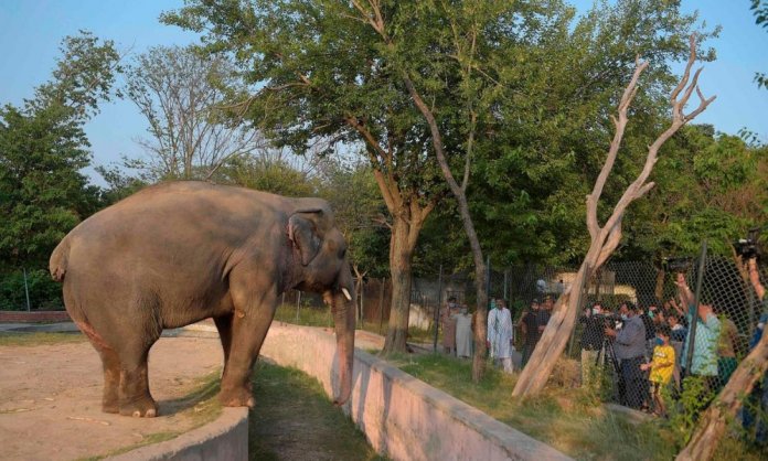 Islamabad Zoo