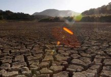 Climate Change