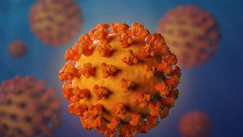 coronavirus