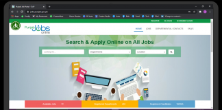 punjab jobs online