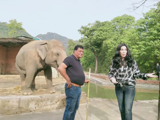 cher & kaavan