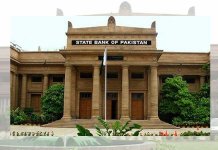 naya pakistan