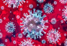 Coronavirus Coursera