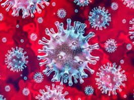 Coronavirus Coursera