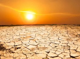 heatwave