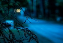 Night Photography tips for better shots