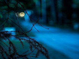 Night Photography tips for better shots