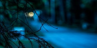 Night Photography tips for better shots