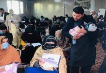 KPK teacher