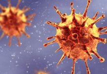 new coronavirus strain