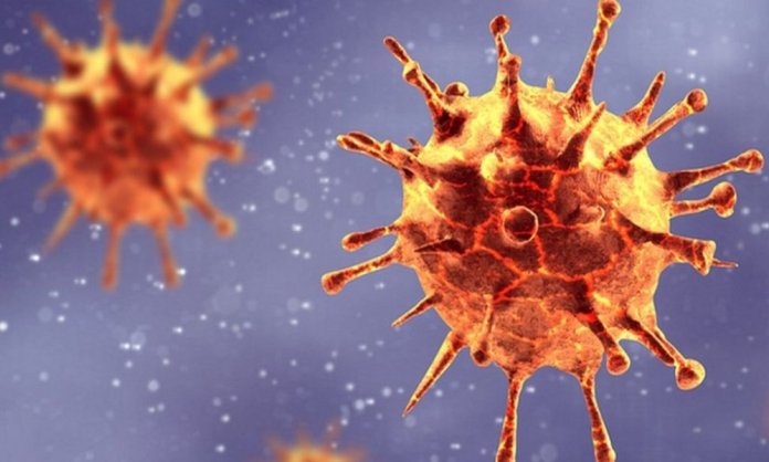 new coronavirus strain