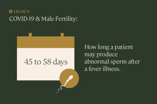 covid-19 sperm count quality