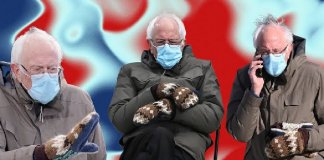Bernie and memes on twitter