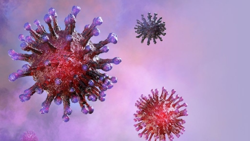 new coronavirus strain