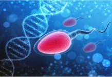 covid-19 sperm count quality